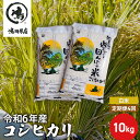 【ふるさと納税】【定期4ヶ月】新米 コシヒカリ　白米　10kg（5kg×2）令和6年産　定期便・ お米 銘柄米 ご飯 おにぎり お弁当 和食 食卓 精米 国産 千葉県産 産地直送