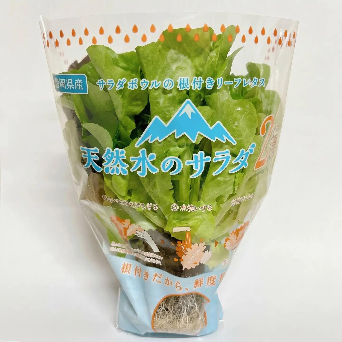 根付きリーフレタス 天然水のサラダ レタス
