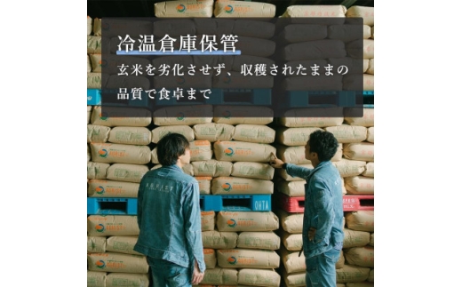 ＜毎月定期便＞京都与謝野町産エナジーこしひかり精米5kg　農家直送全9回【4092865】