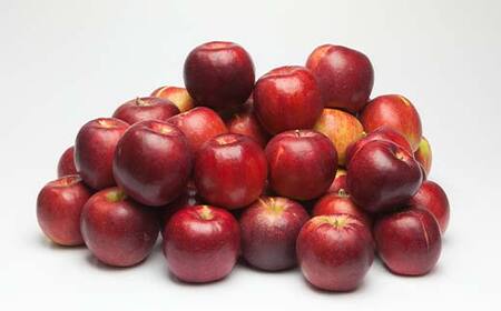 FYN9-938 ≪先行予約≫ ご家庭・加工用 2024年 山形県産 りんご 紅玉 4.5kg 2024年10月上旬から順次発送 中生種 早い 林檎 リンゴ こうぎょく 果物 くだもの フルーツ 秋果