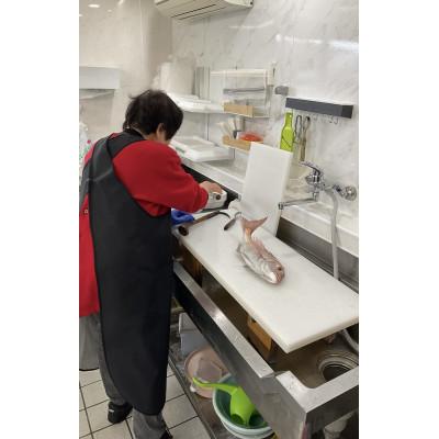 ふるさと納税 上島町 【1日1件限定】漁師厳選 瀬戸内海の天然鮮魚セット(約4人前) お刺身、切り身、アラ等　真空パック |  | 02