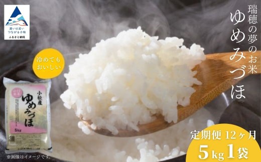 【先行予約】【定期便】 令和8年産 小松市産 ゆめみづほ 精米 5kg×12ヶ月（毎月）お米 おこめ 白米 こしひかり 石川県 小松市 【JA小松市】 ag004t12