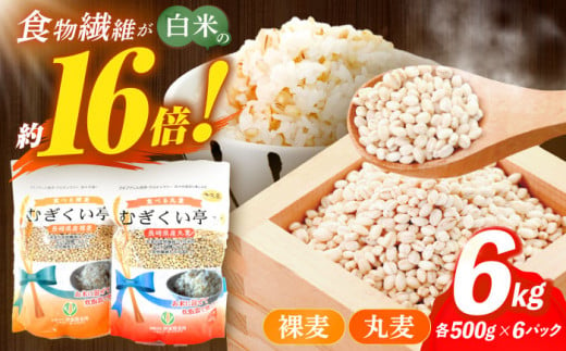 【最速発送】むぎくい亭 (丸麦500g×6・裸麦500g×6) 計6kg / 麦 丸麦 はだか麦 裸麦 麦味噌 雑穀 雑穀米 食物繊維 / 諫早市 / 有限会社伊東精麦  [AHBU002] スピード 最短 最速 発送