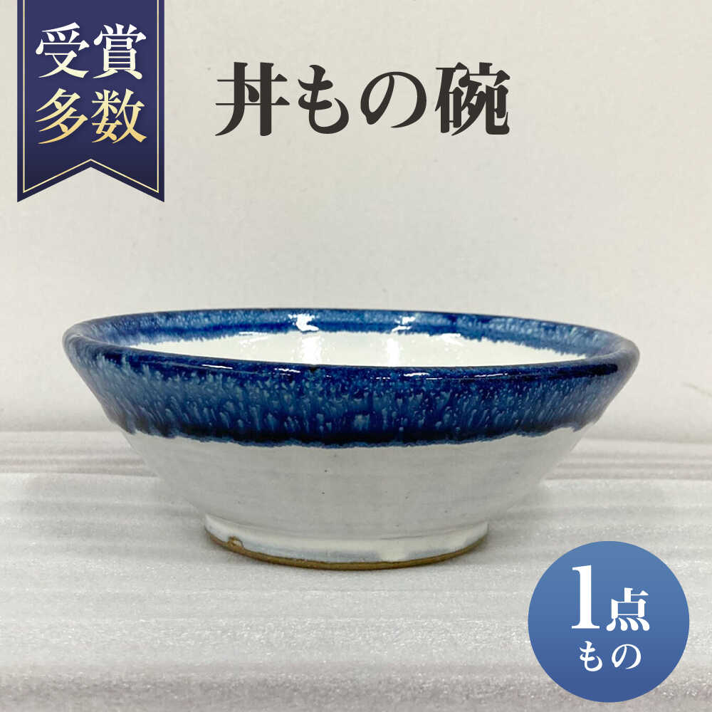 【ふるさと納税】丼もの碗 陶器 茶碗 丼ぶり どんぶり 皿 ギフト 母の日 父の日 沖縄市 / 唐仙窯 [BCBK007]