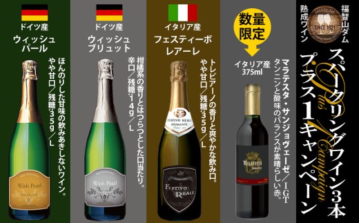 【数量限定 1本追加】 福智山ダム熟成  スパークリングワイン 3本詰め合わせ セット FD323 750ml+イタリア産赤ワイン マラテスタ サンジョヴェーゼ 375ml