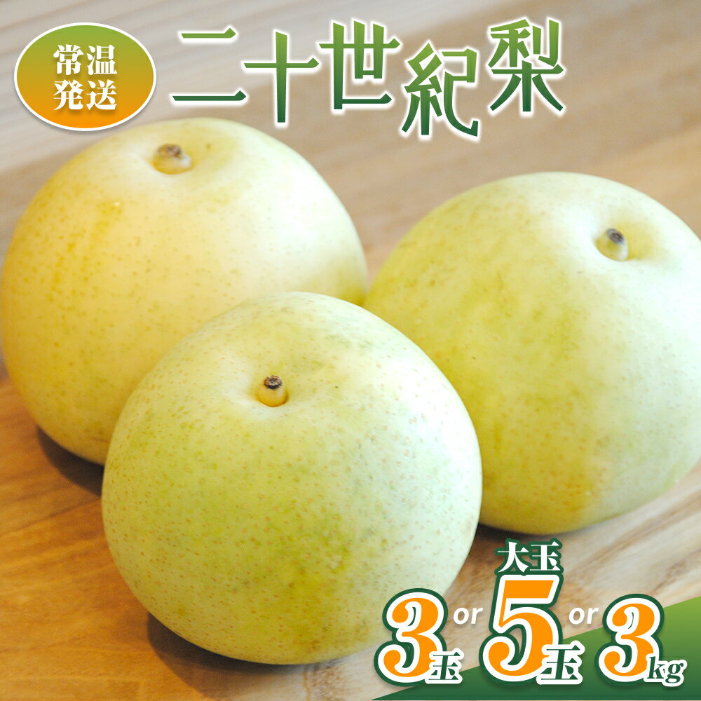 【ふるさと納税】【先行予約】井上農園 梨 ”二十世紀梨” 3玉、5玉、3kg※常温発送｜鳥取 梨 なし ナシ 二十世紀梨 20世紀梨 果物 くだもの 和梨 フルーツ 数量限定 旬※お届けは2026年8月下旬頃～
