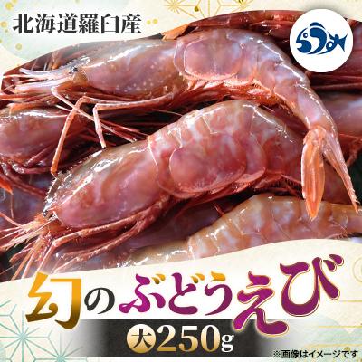 ふるさと納税 羅臼町 羅臼産 幻のぶどうえび 大 250g
