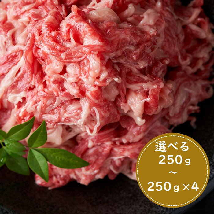 【ふるさと納税】訳あり！博多和牛A4～A5ランク切り落とし（選べる容量）【博多和牛】