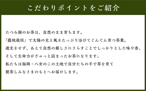 八女茶 Rooji＋ 和紅茶ティーバッグ × 1個 お茶 和紅茶 緑茶 ティーバッグ 国産 福岡県産 紅茶