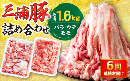 【6回定期便】 特盛三浦豚 1.6kg 豚肉セット / 恵那市 / あづま精肉店 [AUDL007]