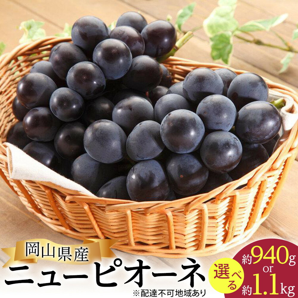 【ふるさと納税】ぶどう 2025年 先行予約 ニュー ピオーネ 約940g または 約1.1kg 化粧箱入り ブドウ 葡萄 岡山県産 国産 フルーツ 果物 ギフト | フルーツ 果物 くだもの 食品 人気 おすすめ 送料無料