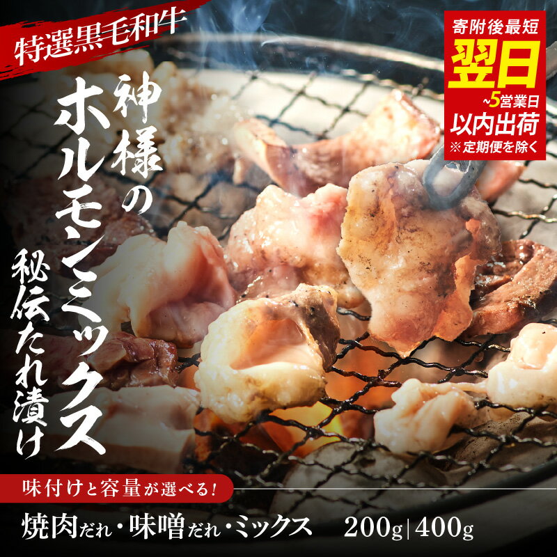 【ふるさと納税】【 スピード発送 】【 特選 黒毛和牛 】2種類の味から選べる神様のホルモンミックス（焼肉だれ／味噌だれ）【 国産 牛肉 ホルモン おすすめ 味噌だれ 焼肉だれ 特選 黒毛和牛 アカセン ハート モウチョウ コリコリ 焼肉 バーベキュー ギフト 送料無料 】