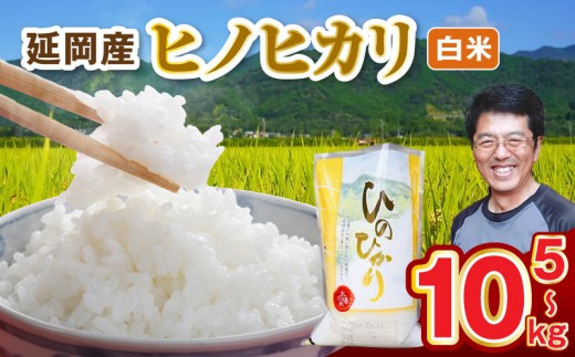 
                  延岡産ヒノヒカリ（白米） N0218-YA982-sku
                