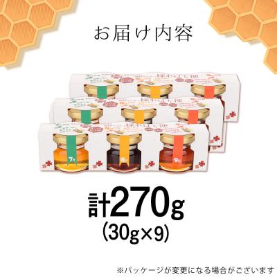 ふるさと納税 東神楽町 採れはち便　30g×3個入り×3　蜂蜜 はちみつ |  | 02