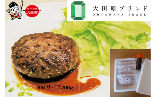 
            大田原市公式「大田原ブランド」認定第７号「与一和牛100％生ハンバーグ」200ｇ5個入りソース付き
          