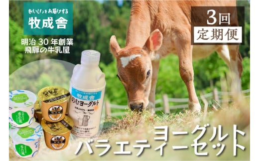 《定期便》こだわりヨーグルトセット 3回お届け 牧成舎 のむヨーグルト 生クリームヨーグルト 季の風 12個セット