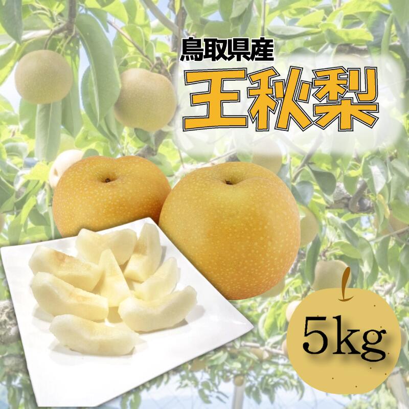 【ふるさと納税】【先行予約】安田農園 梨 ”王秋梨” 5kg箱｜鳥取 梨 なし ナシ 王秋梨 おうしゅう 果物 フルーツ 2025収穫 数量限定【41029】