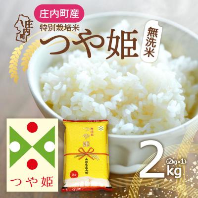 ふるさと納税 庄内町  庄内町産 つや姫無洗米 2kg 令和7年産 2025年産 ブランド米