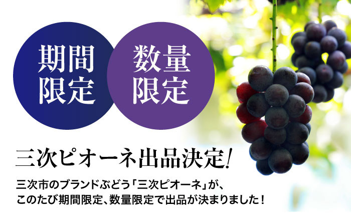 ピオーネ ぶどう 葡萄 ブドウ フルーツ 果物 種なし 人気 お取り寄せ ギフト 送料無料 数量限定 期間限定 広島 三次 贈答