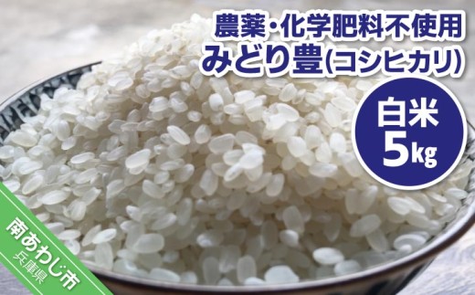【令和７年産】農薬・化学肥料不使用 白米５kｇ みどり豊(コシヒカリ)