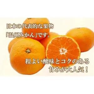 【愛媛みかん】 3kg みかん