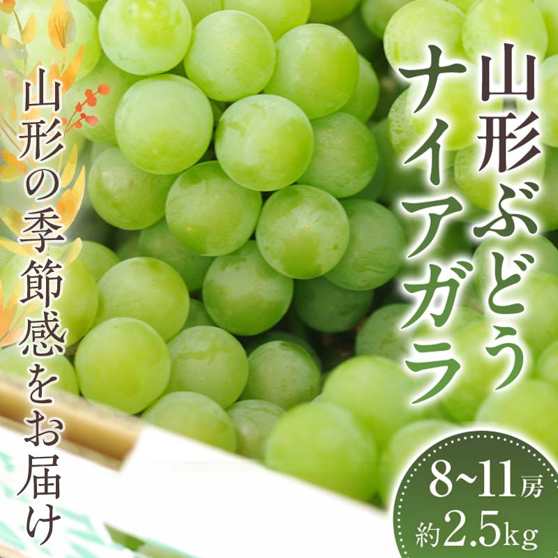 【ふるさと納税】 山形ナイアガラ ぶどう 約8房～約11房 約2.5kg【2025年8月から発送】 ブドウ 葡萄 デザート フルーツ 果物 くだもの 果実 食品 山形県 FSY-2406