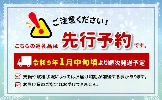 【先行予約】Linda Lindo BERRY 2Lサイズ 12粒x2 計24粒（2027年1月中旬ころより順次発送予定） | いちご かおり野 よつぼし 深紅の美鈴