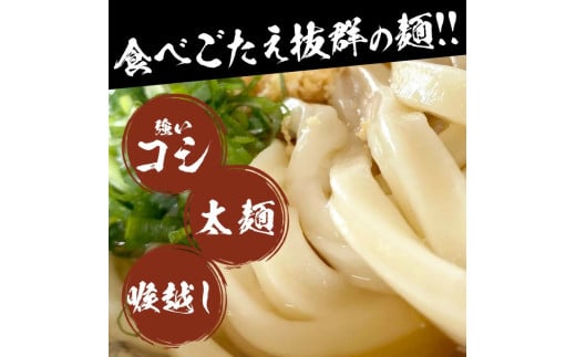 【ふるさと納税】上戸うどん [ 三豊市 3000 3,000円 返礼品 瀬戸内讃岐工房 ]