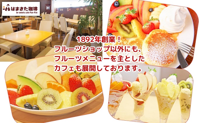 【2026年2月上旬より順次発送】柑橘界の大トロ！せとか　約3kg 果物 フルーツ 国産 日本産 冬の味覚 冬の果物 冬のフルーツ 観音寺市産