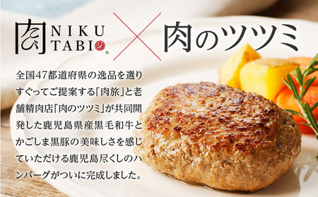 【肉旅】鹿児島県産黒毛和牛＆黒豚入り手ごねハンバーグ8個入　K235-001_01 黒毛和牛 黒豚 A5 ハンバーグ 手ごね 真空 パック 惣菜 小分け 肉旅 九州電算 肉のツツミ 送料無料 鹿児島市
