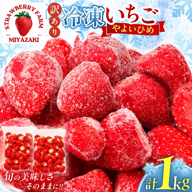 ≪訳あり≫都農町産「冷凍いちご(やよいひめ）」計1kg_T059-003【フルーツ 果物 デザート イチゴ 国産 人気 ギフト 食品 旬 苺 スムージー 果実 贈り物 送料無料 プレゼント】