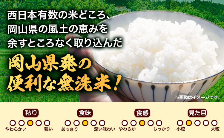 米 無洗米 岡山 晴れの国 おかやま 岡山県産【定期便】10kg (5kg×2袋) 計6回お届け《お申込月の翌月より発送》 洗わず ライス SDGs 国産 ヒノヒカリ あきたこまち にこまる きぬむす