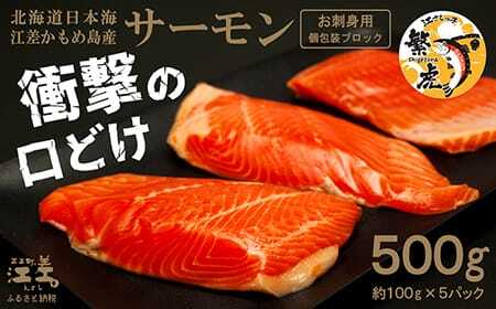 ＼配送月指定可／北海道産 サーモン お刺身用ブロック 500g（100g×5P）　日本海 かもめ島海面養殖　純国産 ブランドサーモン『江さしっ子 繁虎』　衝撃の口どけ　とろける脂　生食可　冷凍　小分け　個包装　トラウトサーモン　刺身　サーモンステーキ　カルパッチョ　海鮮　鮭　さけ　シャケ　しゃけ　さーもん　のし対応可　贈答用　ギフト　お中元　お歳暮