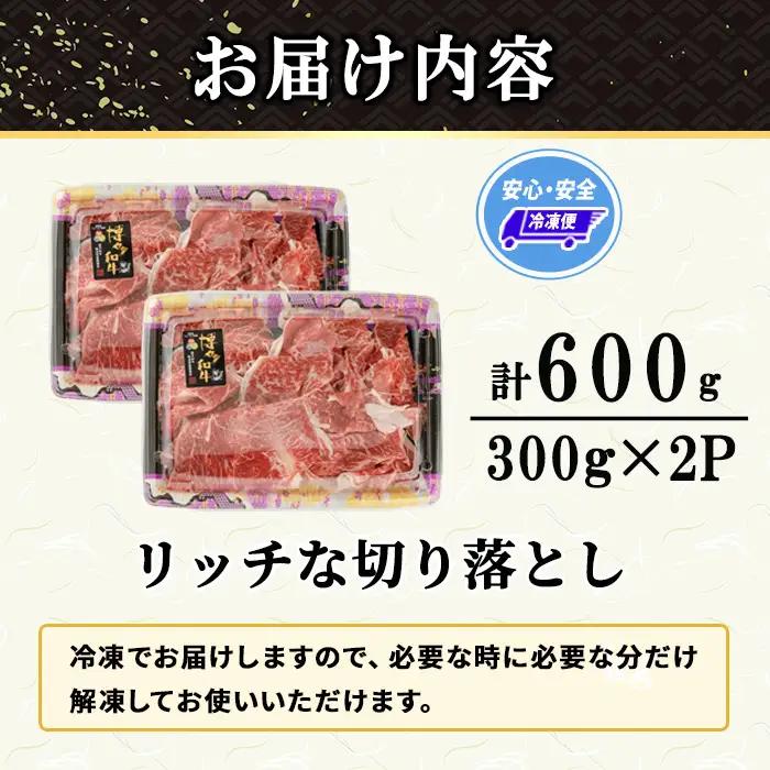 博多和牛 リッチな切り落とし(計600g・300g×2P) 国産 九州産 福岡県産 牛肉 和牛 黒毛和牛 お肉 切り落とし 切り落し きりおとし お肉 肉じゃが 牛丼 カレー 炒め物 総菜 冷凍 【エ