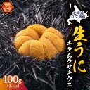 【ふるさと納税】北海道 礼文島産 採れたて キタムラサキウニ 塩水パック 100g×1 生うに 生ウニ 塩水うに　魚貝類・ウニ・雲丹　お届け：2025年5月～9月末まで