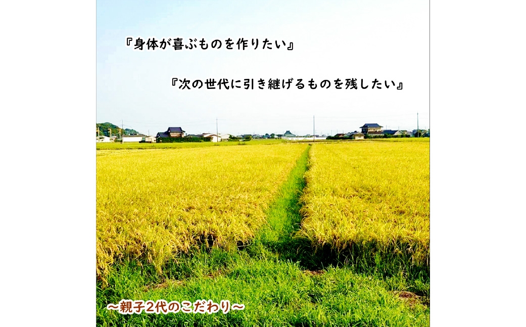 栽培期間中出来るだけ農薬を減らした「かすみ米」白米 5kg茨城県共通返礼品・潮来市産