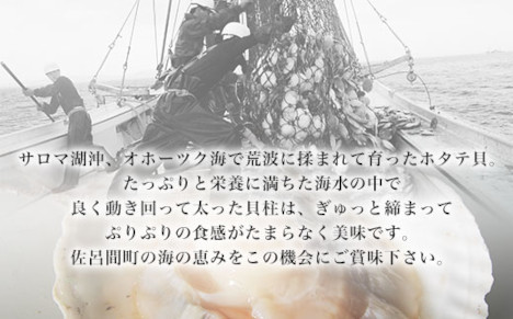 オホーツク産 『活』 ほたて 3kg（16～22枚） SRMN001