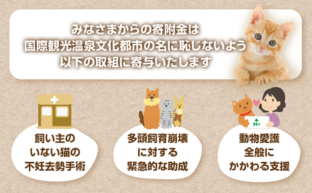 【返礼品なし】動物愛護に関することへの応援寄附_B001-043