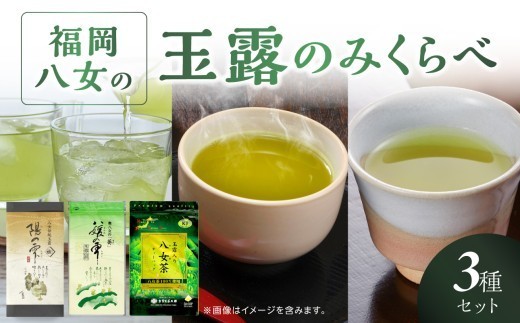 高級茶・八女茶の老舗　古賀製茶本舗　「玉露日本一」福岡八女の玉露のみくらべ 玉露 八女茶 お茶 茶 八女 緑茶 白折 ティーバッグ 飲み比べ 九州 福岡 八女