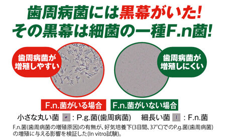 【最短7日以内発送】ＧＵＭプラス・デンタルリンス（低刺激ノンアルコール）450ml マウスウォッシュ 液体歯みがき 液体歯磨き 歯ブラシ 歯磨き 歯みがき 日用品 大容量 大阪府高槻市/サンスター[A