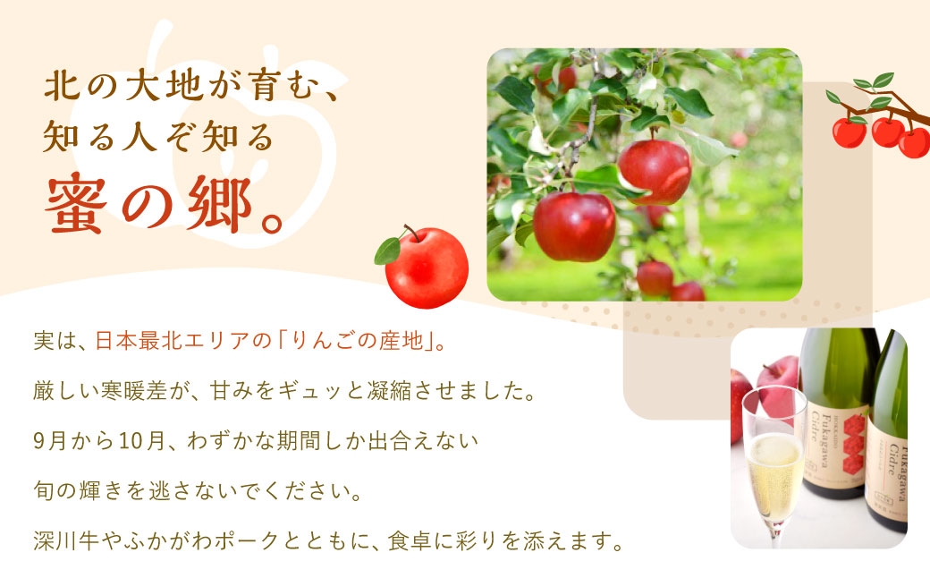北海道深川市産 りんご（つがる） 5kg