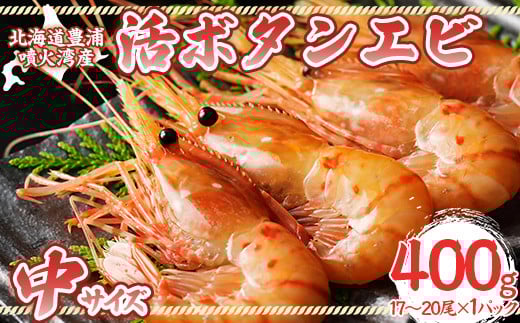 
            活ボタンエビ 中サイズ 400g（17～20尾）×1パック 北海道 噴火湾産 【 ふるさと納税 人気 おすすめ ランキング 魚介類 えび 海老 牡丹海老 ボタンエビ おいしい 美味しい 新鮮 北海道 豊浦町 送料無料 】 TYUR047
          