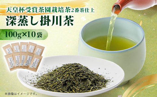 【新茶先行受付】天皇杯受賞茶園栽培茶2番茶仕上　深蒸し掛川茶100g×10袋【配送不可地域：離島・沖縄県】【1303841】