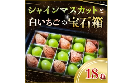 ＜2024年8月より順次発送＞シャインマスカットと白いちごの宝石箱18粒(県内共通返礼品:石岡市産)【1398936】