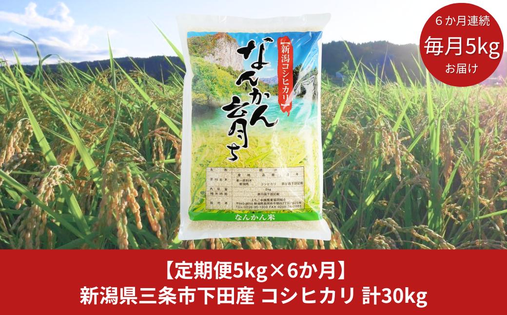 
            [定期便 5kg×6か月] コシヒカリ 新潟県三条市下田産 こしひかり 計30kg 令和6年産米 6か月連続でお届け [JAえちご中越]【043S005】
          