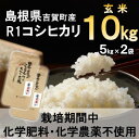 【ふるさと納税】【栽培期間中化学肥料・化学農薬不使用】令和6年産R1米コシヒカリ10kg(玄米)【1448684】