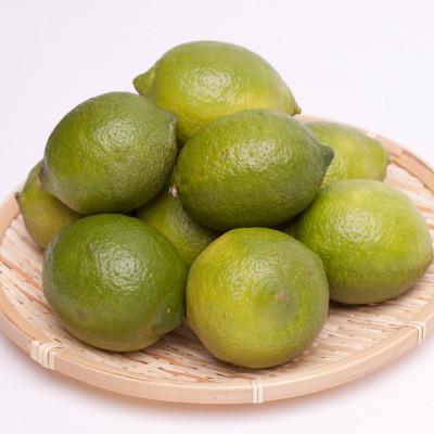 ふるさと納税 和歌山市 レモン1kg+250g(傷み補償分)【和歌山有田産】【防腐剤・WAX不使用、安心の国産レモン】 |  | 01