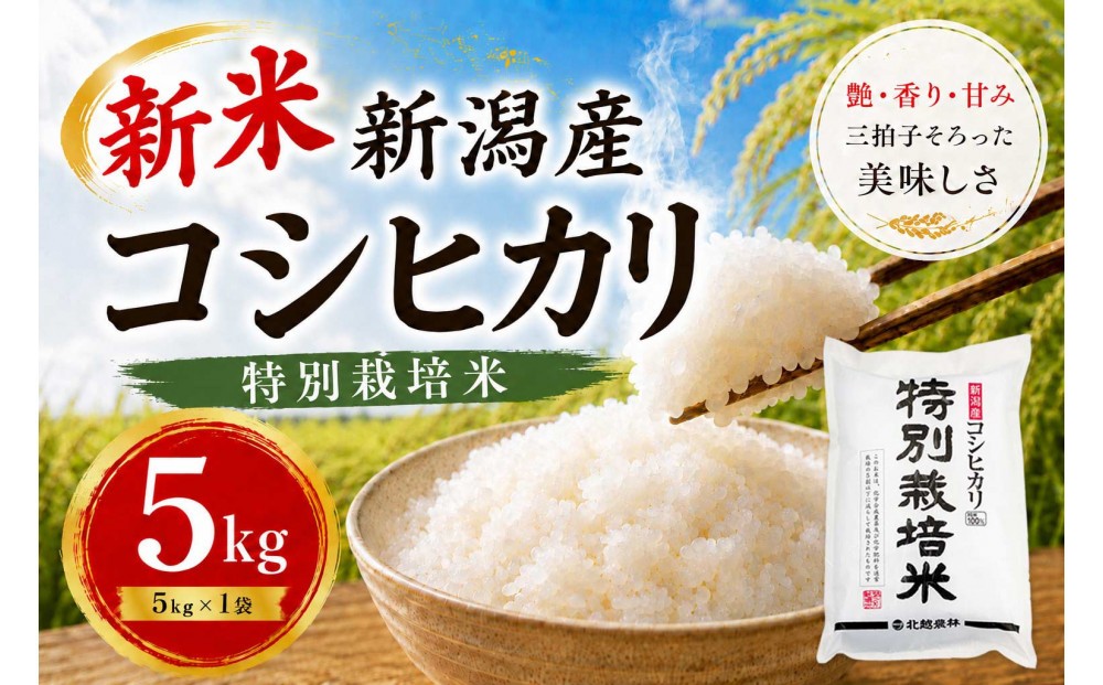 【令和8年産 新米】 新潟産コシヒカリ 特別栽培米 5kg｜一粒一粒に甘み広がるおいしさ
