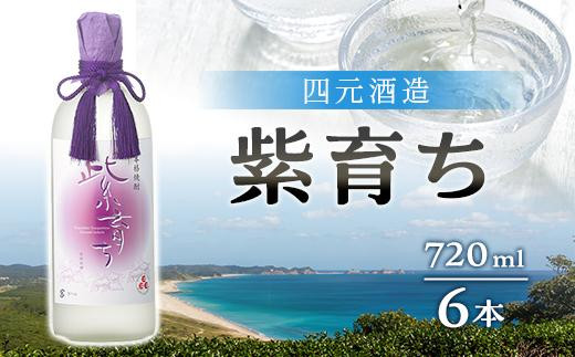 【四元酒造】紫育ち 化粧箱入り 720ml×6本セット（アルコール分25％）【焼酎 芋焼酎 芋 いも お酒 アルコール 本格 種子島産 人気 おすすめ 鹿児島県 中種子町 ふるさと納税 送料無料 N1