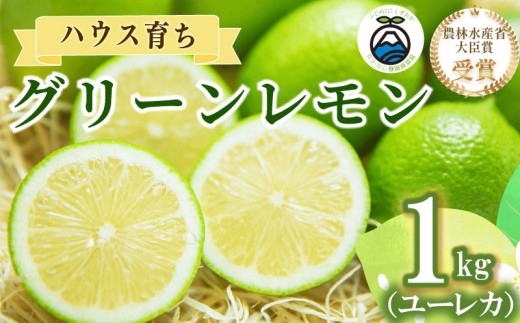 【農林水産大臣賞  予約受付 国産 レモン】選べる 内容量 グリーンレモン 1kg れもん 檸檬 Lemon 柑橘類 柑橘 フルーツ 果物 酸っぱい 果肉 酸味 甘み 防腐剤不使用  受賞農園 皮食べられる 自宅用 贈答品 レモンスカッシュ レモンパウンドケーキ レモンサワー くだもの 家庭用 静岡県産 農家直送 産地直送 産直   グリーン レモン 大関農園  静岡 県 牧之原 市